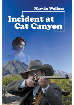Incident at Cat Canyon