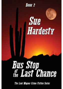 Bus Stop at the Last Chance
