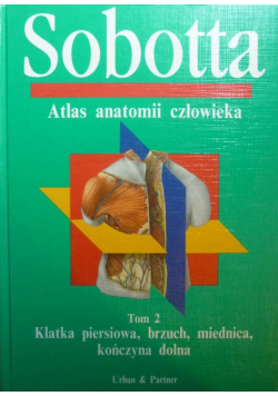 Sobotta atlas anatomii człowieka Tom II