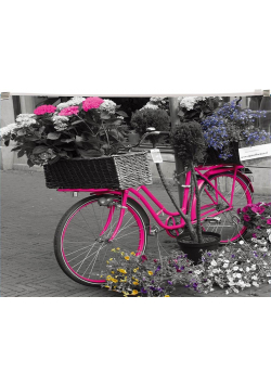 Koperta z nadrukiem zip A4 PP Bike