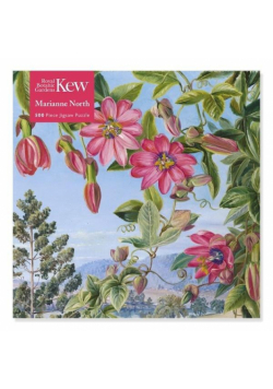 Puzzle 500 Widok w ogrodzie Brisbane Kew Marianne