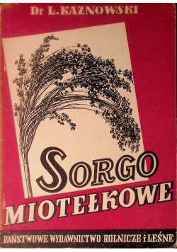 Sorgo miotełkowe