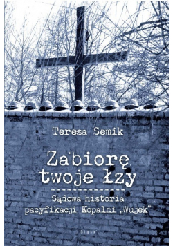 Zabiorę twoje łzy