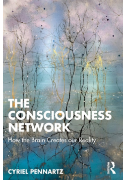 The Consciousness Network