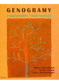 Genogramy Rozpoznanie i interwencja