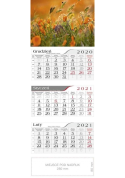 Kalendarz 2021 Trójdzielny Łąka CRUX