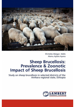 Sheep Brucellosis