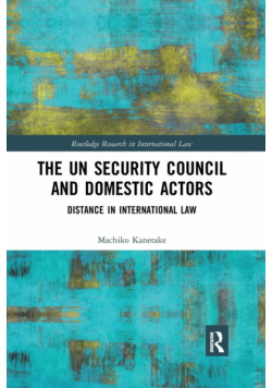 The UN Security Council and Domestic Actors
