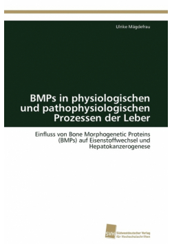 BMPs in physiologischen und pathophysiologischen Prozessen der Leber