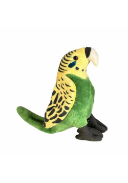 Papuga falista 16cm