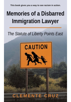Memories of a Disbarred Immigration Lawyer