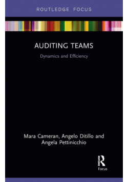 Auditing Teams