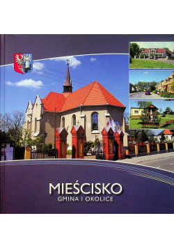 Mieścisko gmina i okolice
