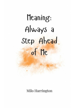 Meaning