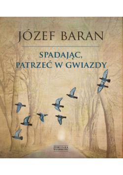 Spadając patrzeć w gwiazdy
