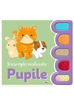 Pupile. Sensoryka maluszka