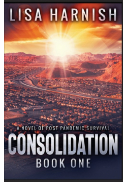 Consolidation