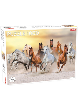 Puzzle Dzikie konie 1000