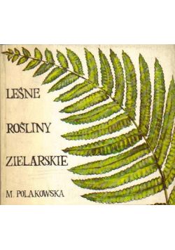Leśne Rośliny Zielarskie