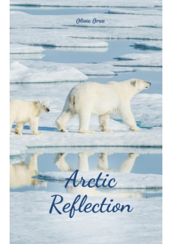 Arctic Reflection