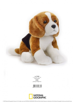 Beagle Maskotka