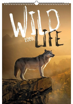 Kalendarz 2020 Wieloplanszowy Wild life