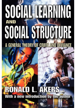 Social Learning and Social Structure