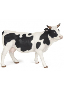 Krowa czarno-biała