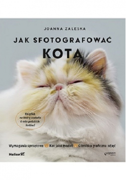 Jak fotografować kota