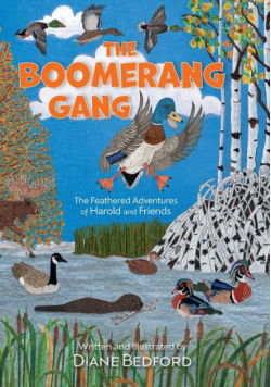 The Boomerang Gang