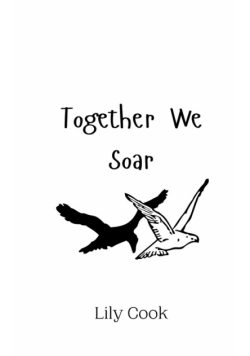 Together We Soar