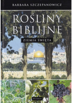 Rośliny biblijne  Ziemia Święta