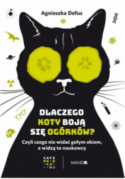 Dlaczego koty boją się ogórków?