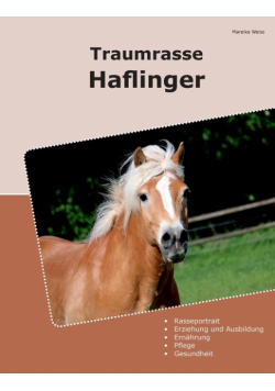 Traumrasse Haflinger