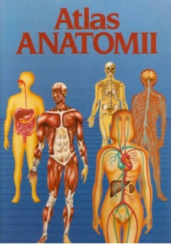 Atlas anatomii