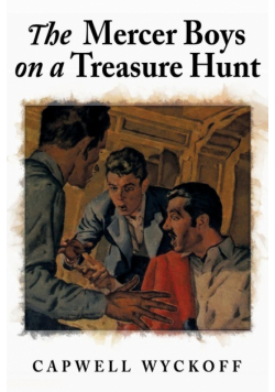 The Mercer Boys on a Treasure Hunt
