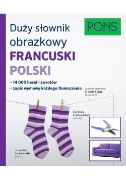 Duży słownik obrazkowy fran-pol PONS