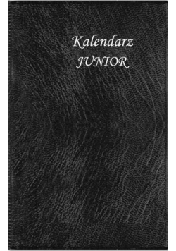 Kalendarz 2020 kieszonkowy Junior SK7 mix