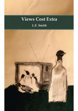 Views Cost Extra