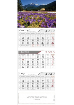 Kalendarz 2020 Trójdzielny Krokusy CRUX