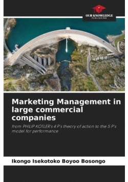 Marketing Management in large commercial companies