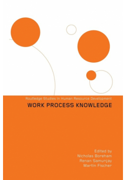 Work Process Knowledge