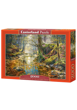 Puzzle Reminiscence of the Autumn Forest 2000