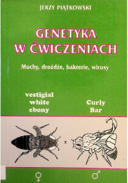 Genetyka w ćwiczeniach