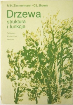 Drzewa struktura i funkcje