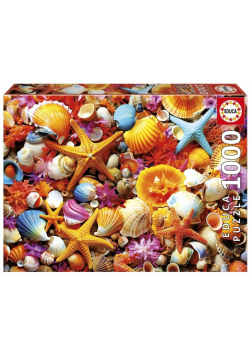Puzzle 1000 Kolorowe muszelki
