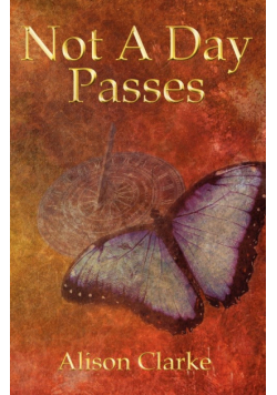 Not a Day Passes