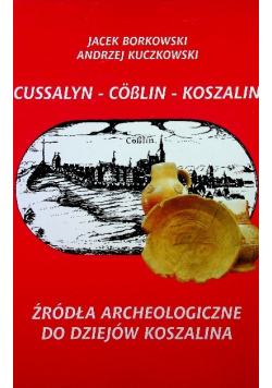 Źródła archeologiczne do dziejów Koszalina