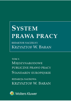 System prawa pracy Tom 10