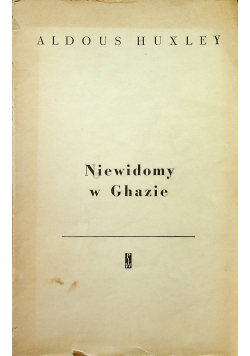 Niewidomy w Ghazie